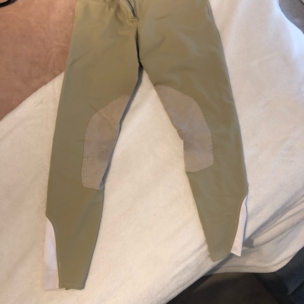 Elation platinum 24R riding breeches